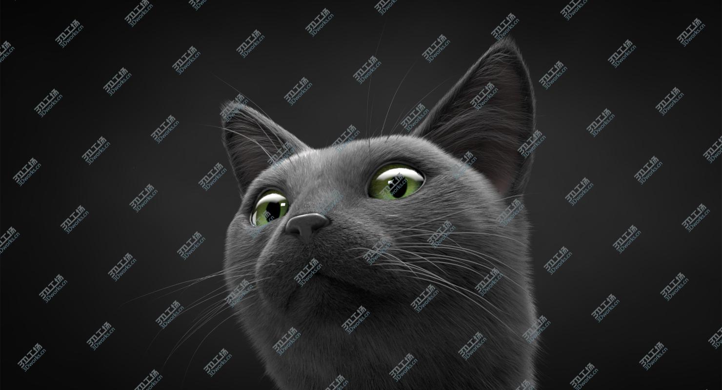 images/goods_img/202105074/Cat Grey v1 3D model/5.jpg